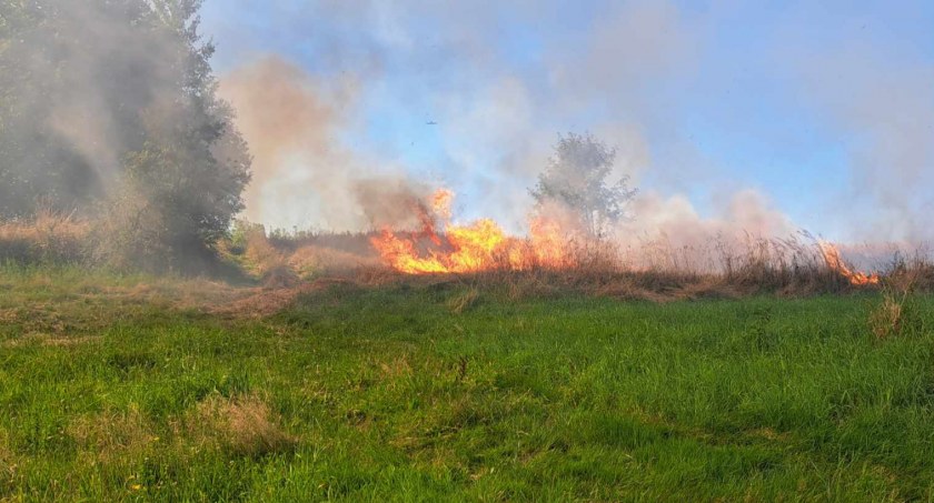Fot. Małopolska alarmowo
