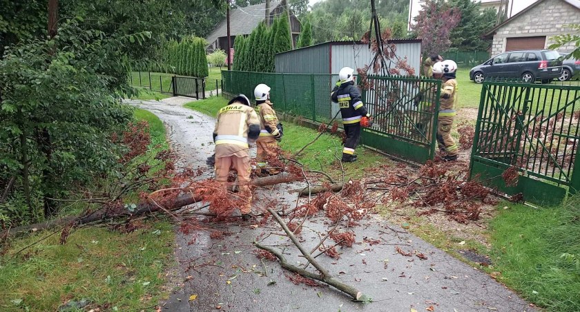 Zdjęcia. Malopolska alarmowo