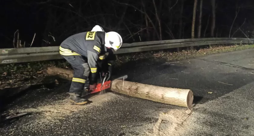 Zdjęcie: małopolska alarmowo