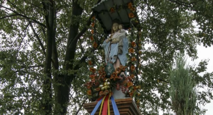 Zdjęcie Kazimierz Surzyn - fotografia