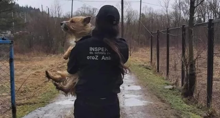 Fot. OTOZ Animals