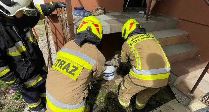 Fot. Małopolska alarmowo