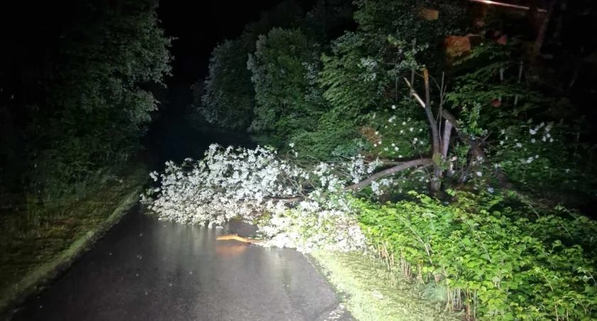 Fot. Małopolska alarmowo