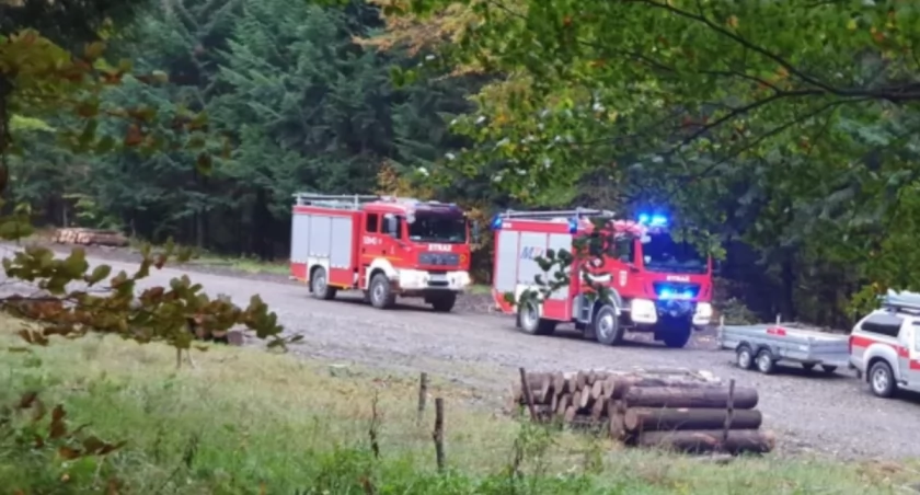 foto: zdjęcie poglądowe