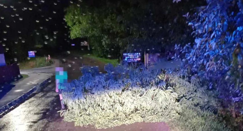 Foto: Malopolska Alarmowo