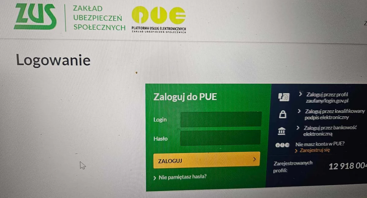 Informacje urzędowe, Platforma Usług Elektronicznych zmienia - zdjęcie, fotografia