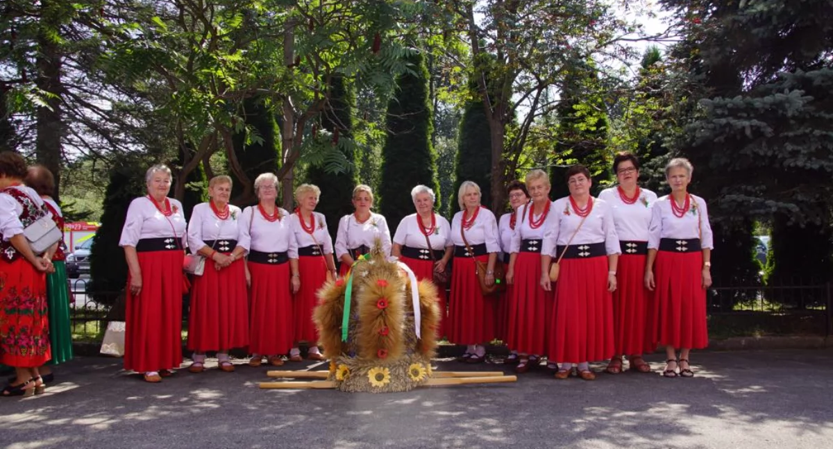 Rozrywka, Zapraszamy Dożynki Gminne Naprawie - zdjęcie, fotografia