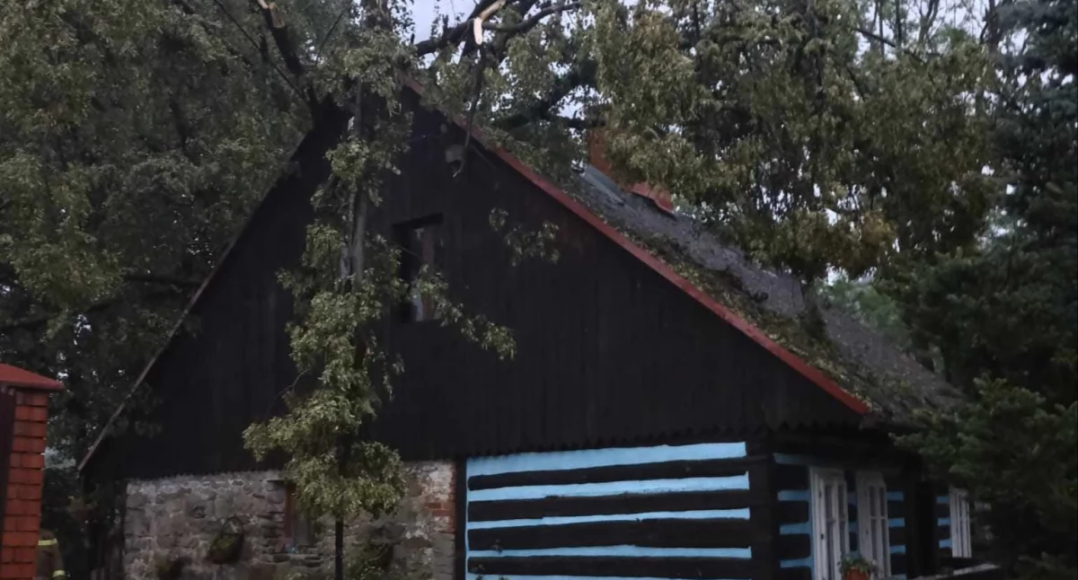 Miejscowe zagrożenie, Bilans wieczornej burzy powiecie suskim - zdjęcie, fotografia