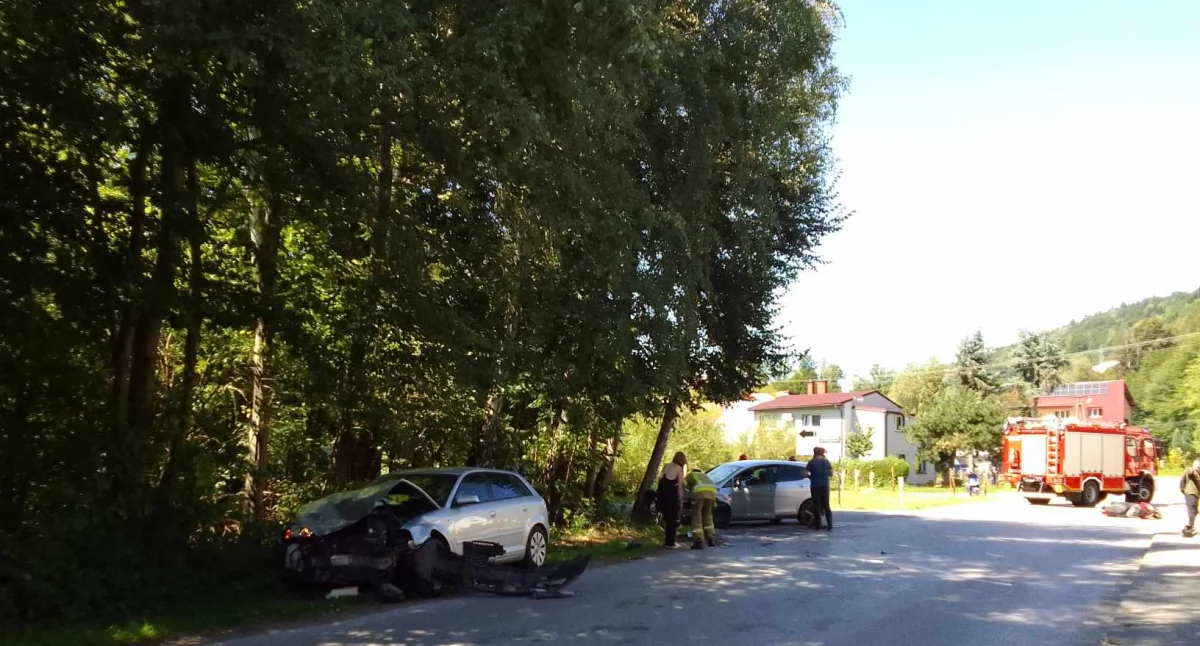 Fot. Małopolska alarmowo