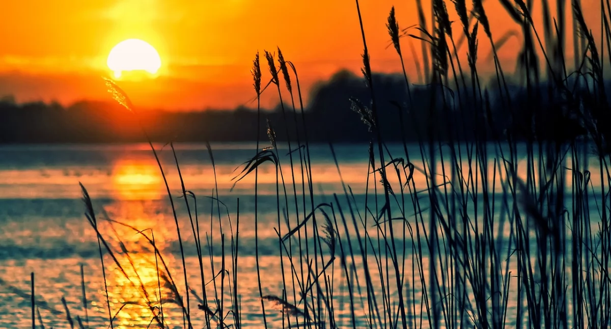 Materiał zewnętrzny, Dlaczego Mazury najlepsze miejsce imprezę integracyjną Twojego zespołu - zdjęcie, fotografia