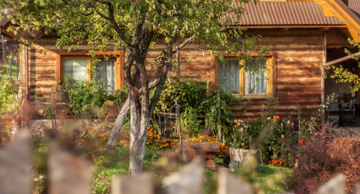 Fot. Katarzyna Hadka