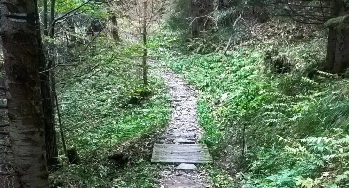 Fot. Babiogórski Park Narodowy