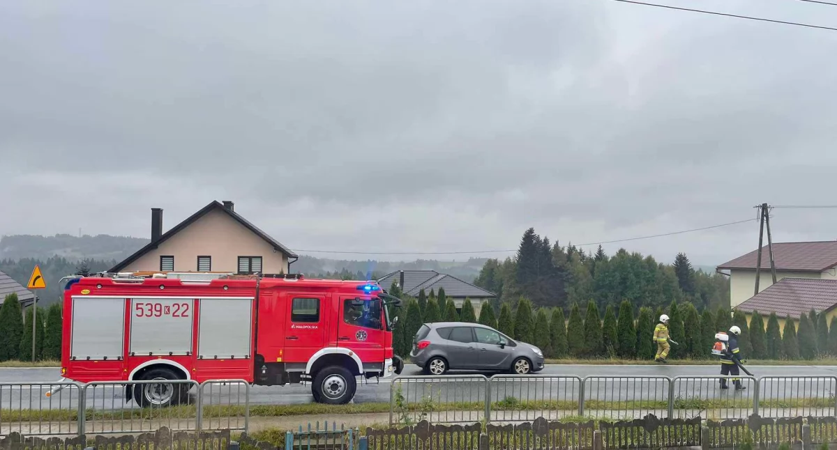 Miejscowe zagrożenie, plama plama Strażacy akcji - zdjęcie, fotografia