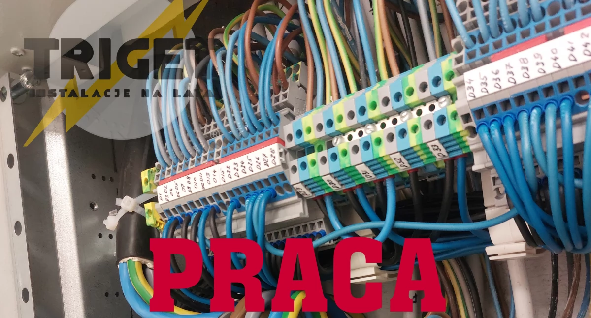 Gospodarka, TRIGET Poszukuje Elektryka! - zdjęcie, fotografia