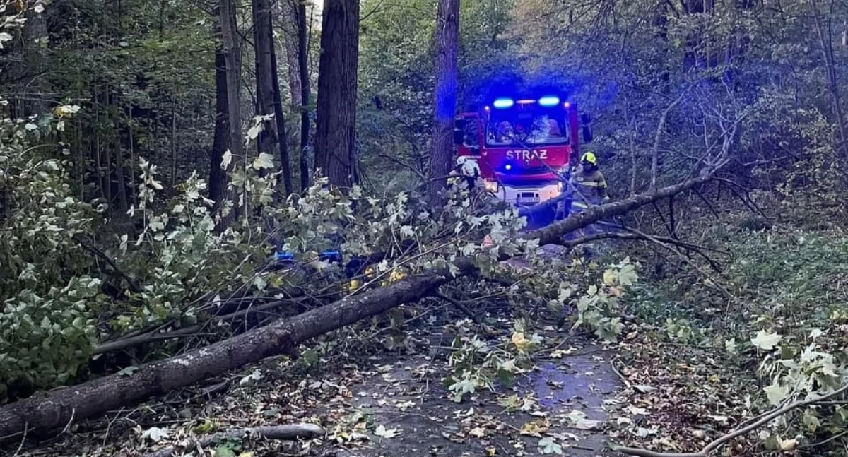Fot. Małopolska alarmowo