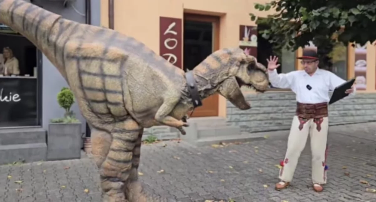 Pomoc społeczna, Żywe dinozaury rynku Makowie przyjdź pomóż Emilce! - zdjęcie, fotografia