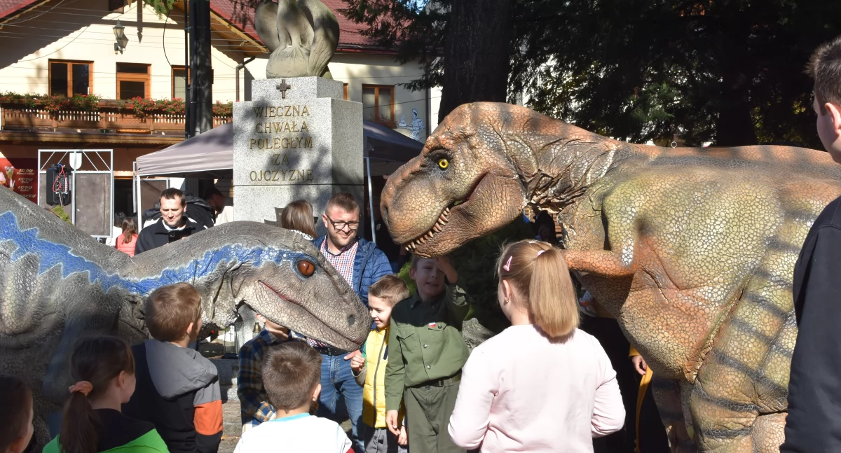 Nasze sprawy, Dinozaury Makowskim rynku wielka zabawa małej Emilki! - zdjęcie, fotografia