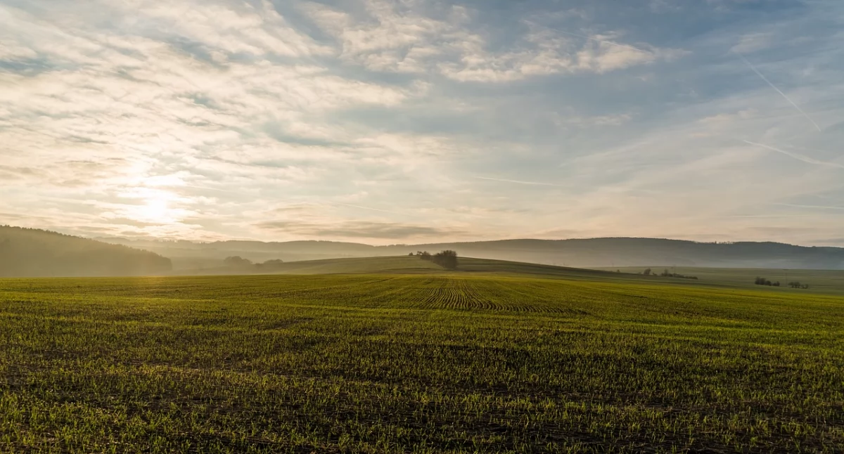 Materiał zewnętrzny, Pomysł dobry biznes zarobić kawałku ziemi Sprawdź! - zdjęcie, fotografia