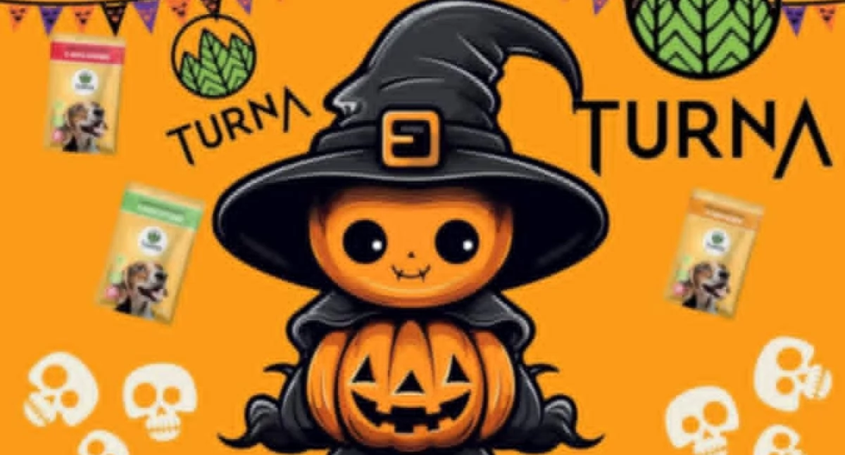 Materiał zewnętrzny, Turna konkurs halloweenowy właścicieli psów! - zdjęcie, fotografia