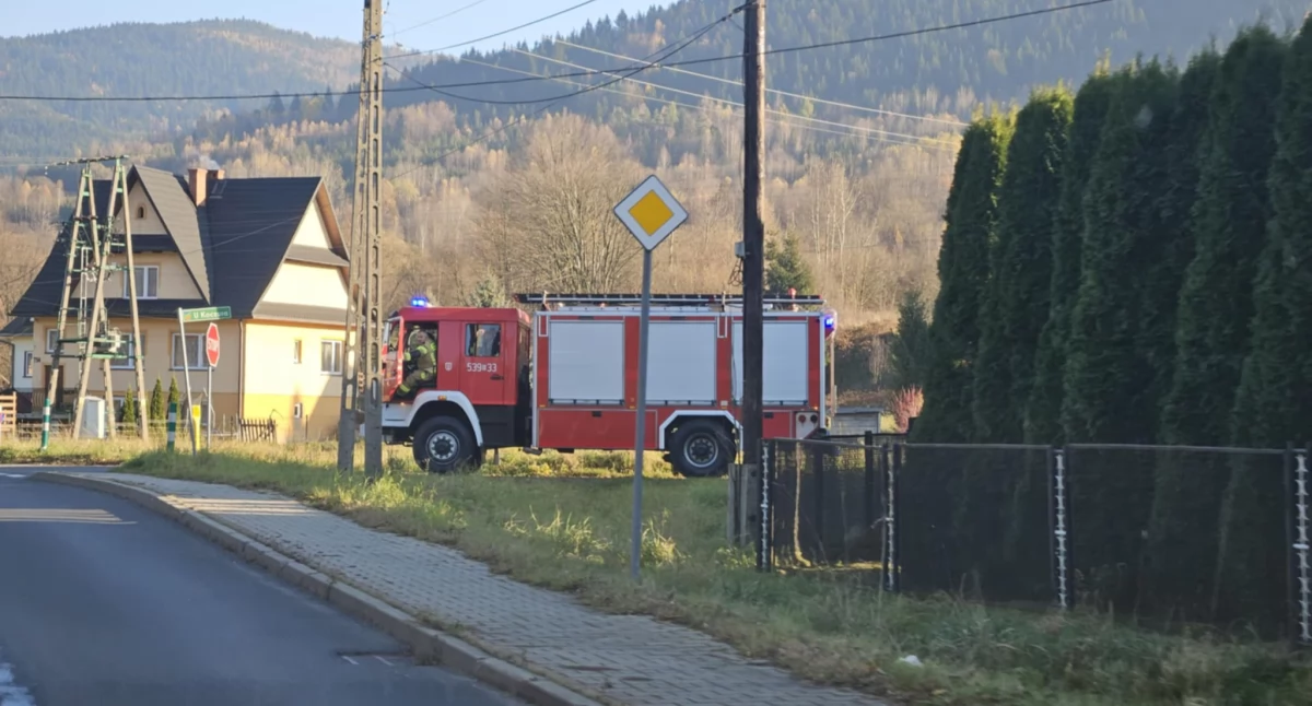 Pożary , Skawica Spokojnie tylko gałęzie - zdjęcie, fotografia