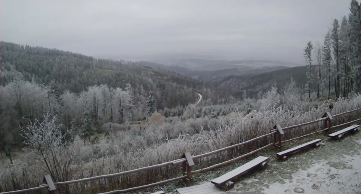 Pogodynka, Krupowa okryta śnieżną warstwą oznacza tylko jedno tuż! - zdjęcie, fotografia