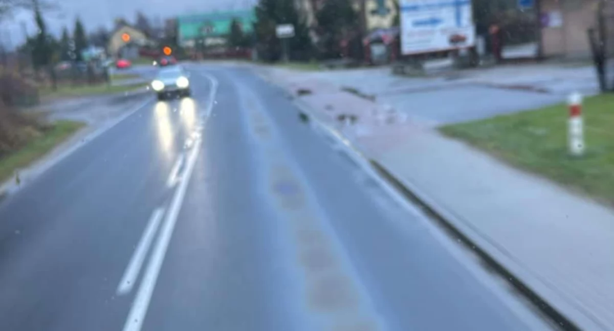 Z remizy, Plama oleju uważajcie! - zdjęcie, fotografia