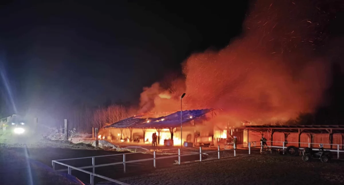 Nasze sprawy, Hodują konie pasji Wczorajszy pożar strawił stajnię sprzęty paszę! Każda złotówka przyda - zdjęcie, fotografia