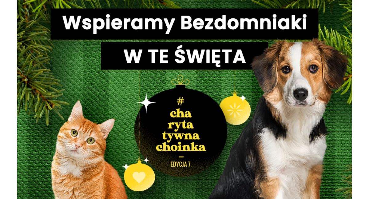 Nasze sprawy, Ruszyła edycja akcji #CharytatywnaChoinka Karmimy Psiaki Cała Polska prezenty bezdomniakom! - zdjęcie, fotografia