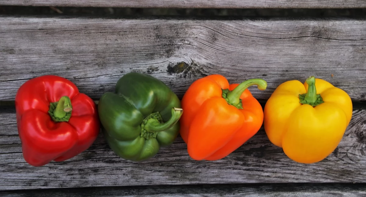 Materiał zewnętrzny, zdrowa dieta może zmienić Twoje życie - zdjęcie, fotografia