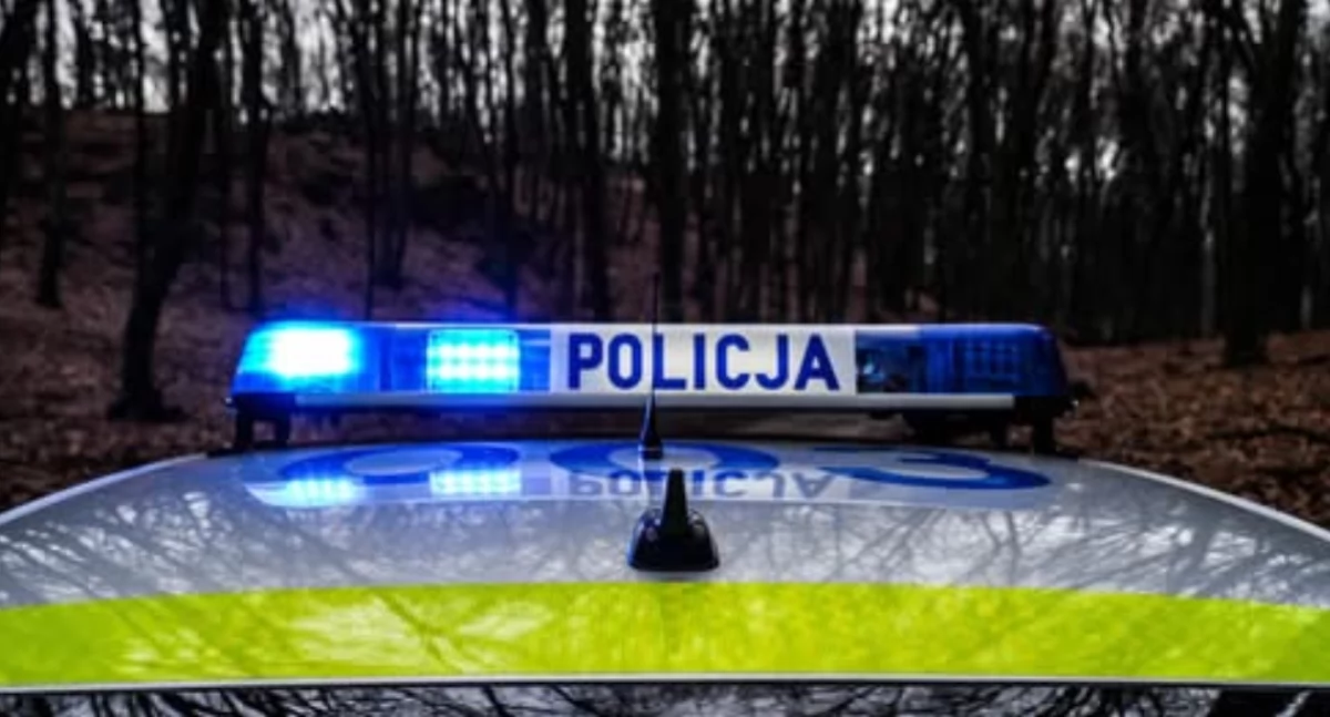 Osoby poszukiwanie i zaginione, latka została odnaleziona kilometra miejsca zaginięcia - zdjęcie, fotografia