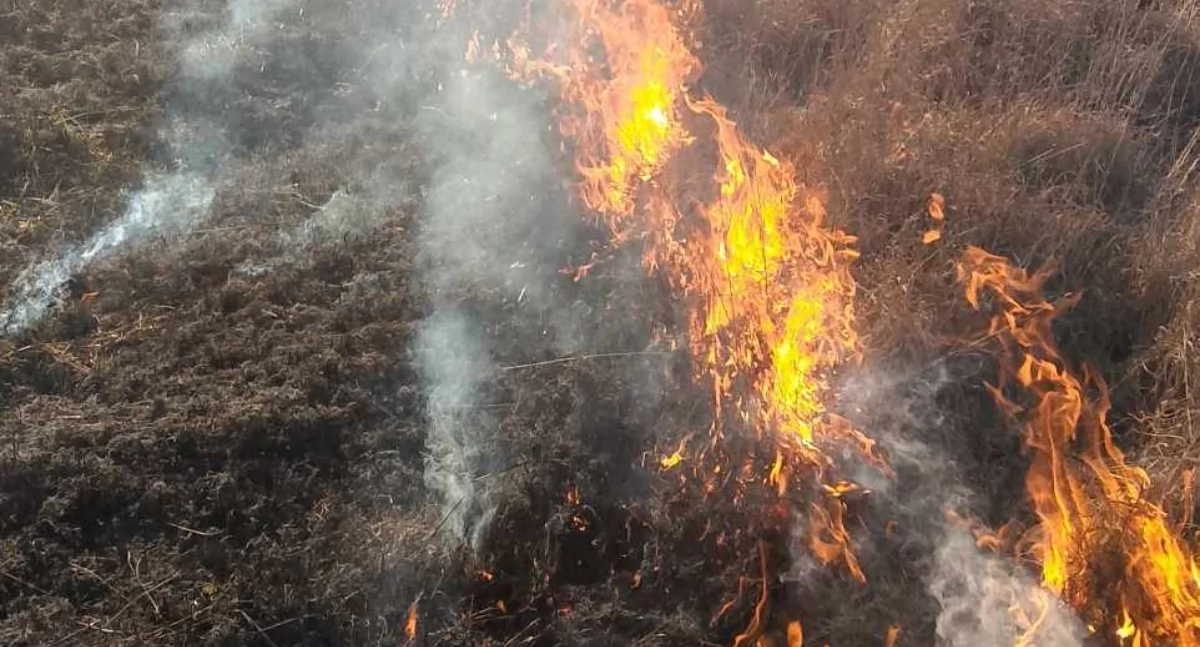 Fot. Małopolska alarmowo