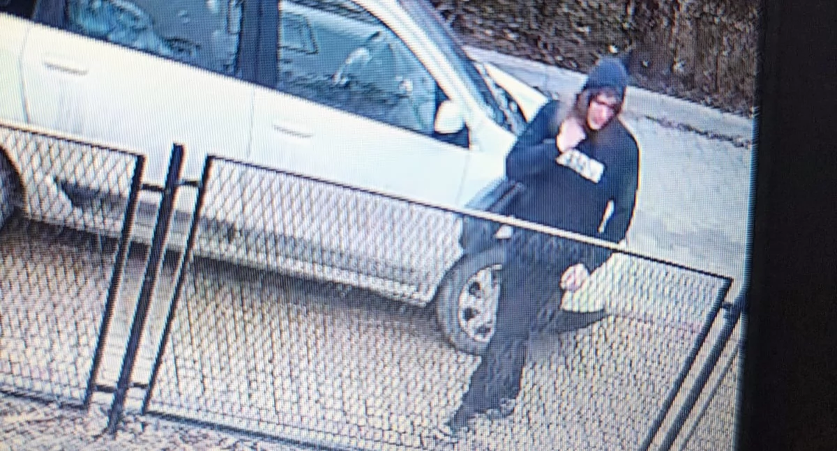Osoby poszukiwanie i zaginione, Brutalny latkę policja szuka sprawcy - zdjęcie, fotografia