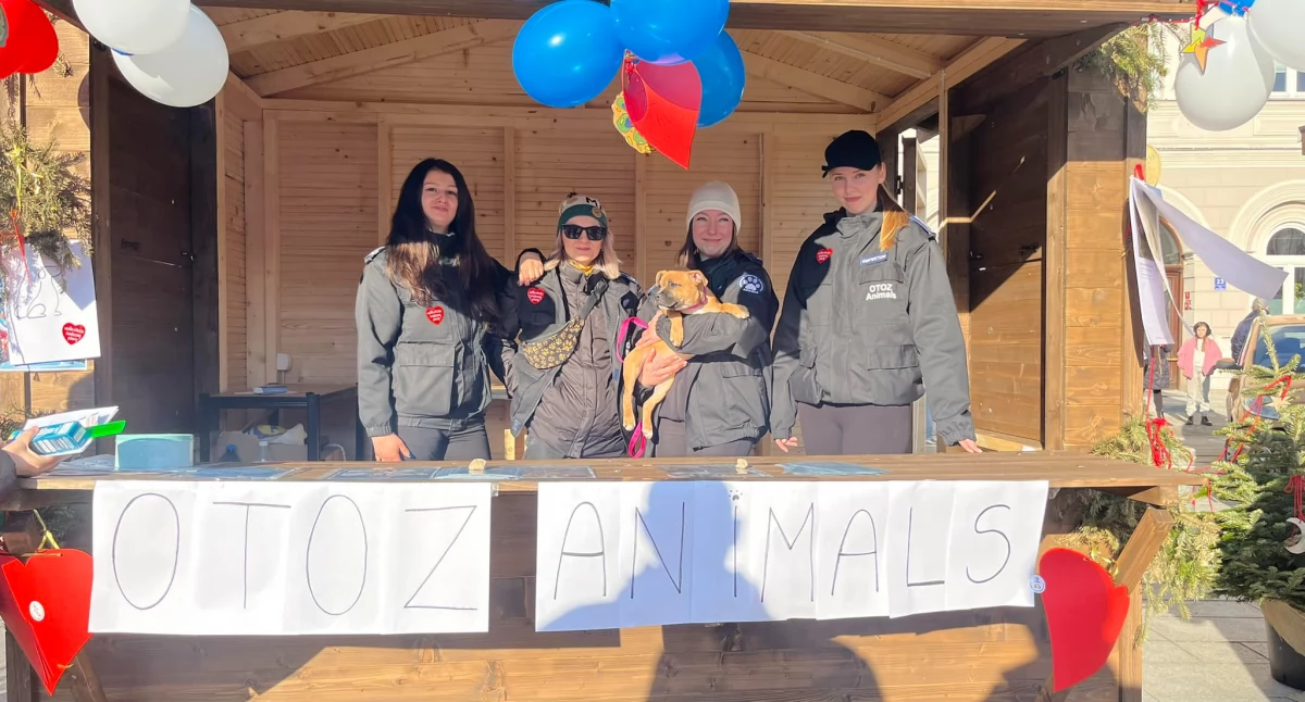 Pomoc społeczna, Pilnie poszukiwani wolontariusze tymczasowe dołącz Animals Suchej Beskidzkiej! - zdjęcie, fotografia