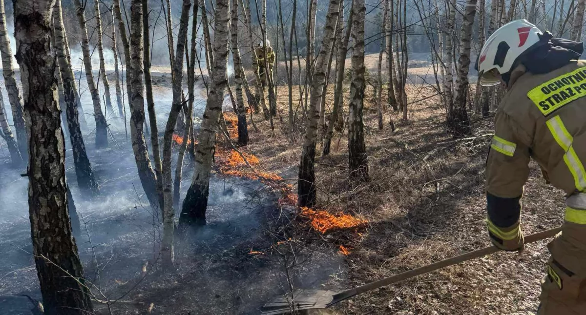 Fot. Małopolska alarmowo
