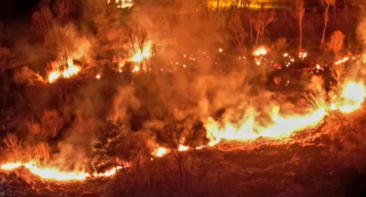 Zdjęcie poglądowe. Fot. Małopolska Alarmowo