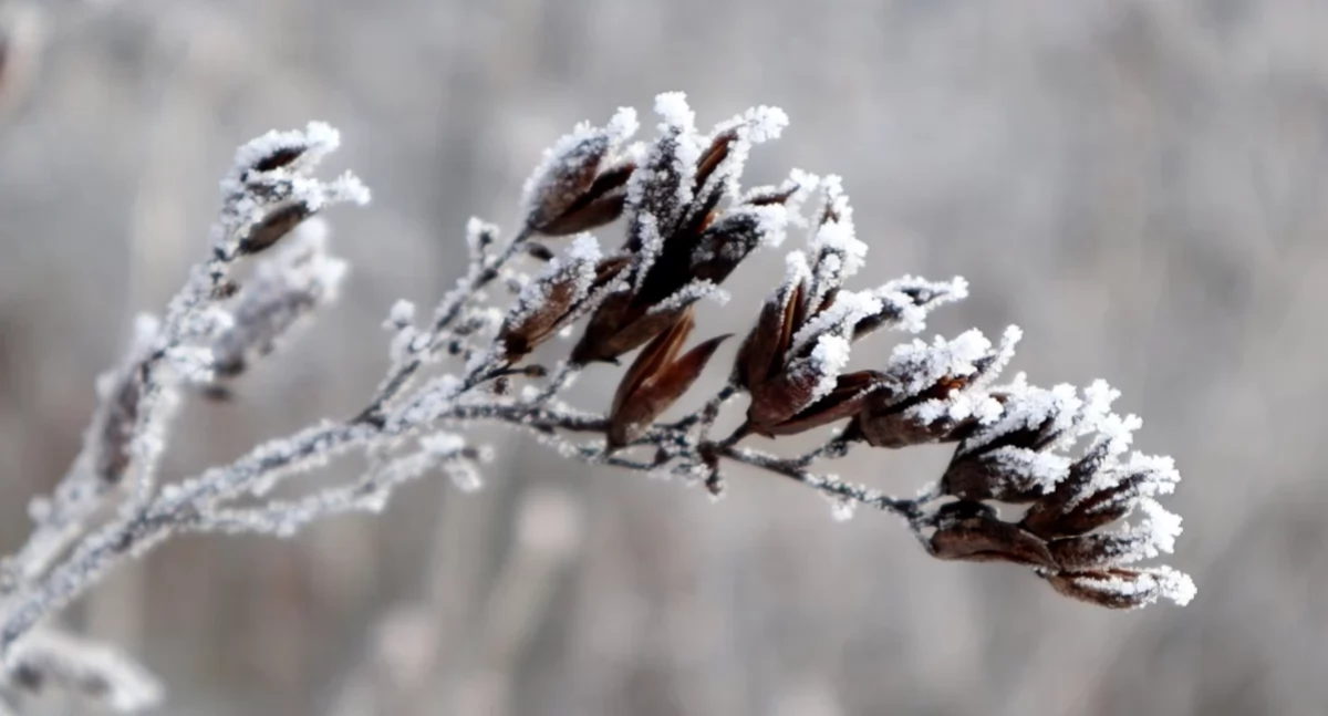 Pogodynka, ostrzega spadek temperatur ryzyko gołoledzi - zdjęcie, fotografia