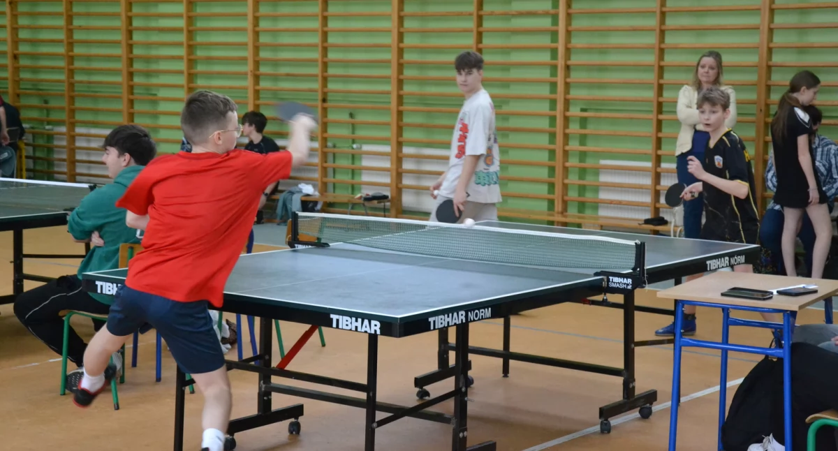 Tenis, Jubileuszowe granie tenisa stołowego Naprawie - zdjęcie, fotografia