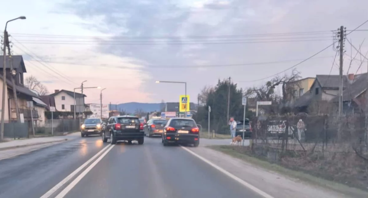 Wypadki drogowe, Sprawa kolizji znajdzie finał sądzie - zdjęcie, fotografia
