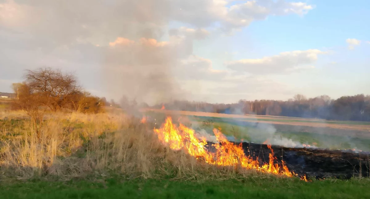 Nasze sprawy, Konsekwencje finansowe działań mogą poważne - zdjęcie, fotografia