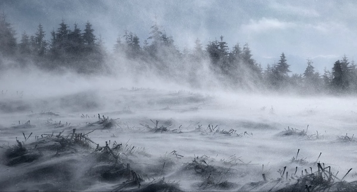 Pogodynka, Alerty powiatu suskiego Śnieg wiatr czeka Babią Górę - zdjęcie, fotografia