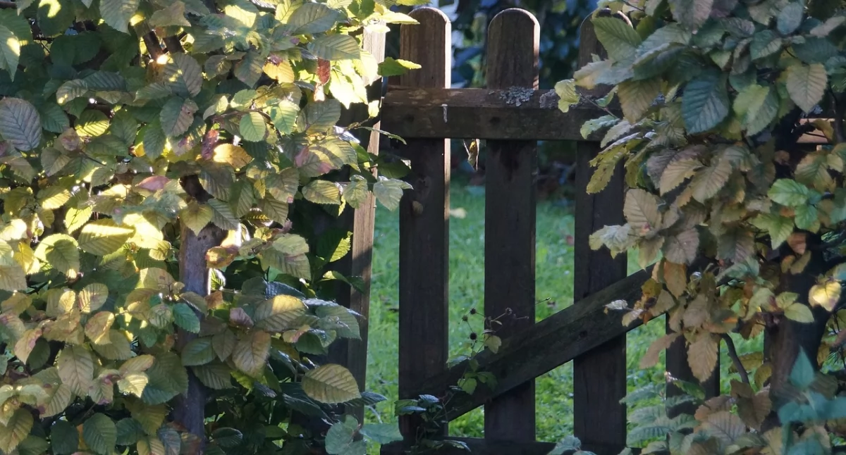 Z kraju, kontra Działkowcy Suchej Beskidzkiej Zagrożone - zdjęcie, fotografia