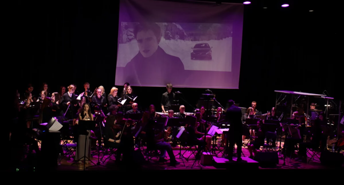 Koncerty – Muzyka , Koncert Muzyki Filmowej Symphony Orchestra - zdjęcie, fotografia