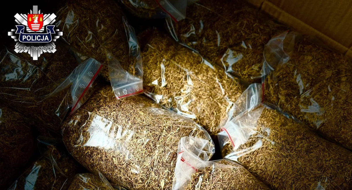 Kronika kryminalna, latek odpowie posiadanie nielegalnej krajanki tytoniowej papierosów - zdjęcie, fotografia