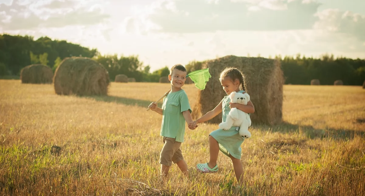 Finanse i Budżet, Zmiany Rząd ogranicza świadczenie czerwca - zdjęcie, fotografia