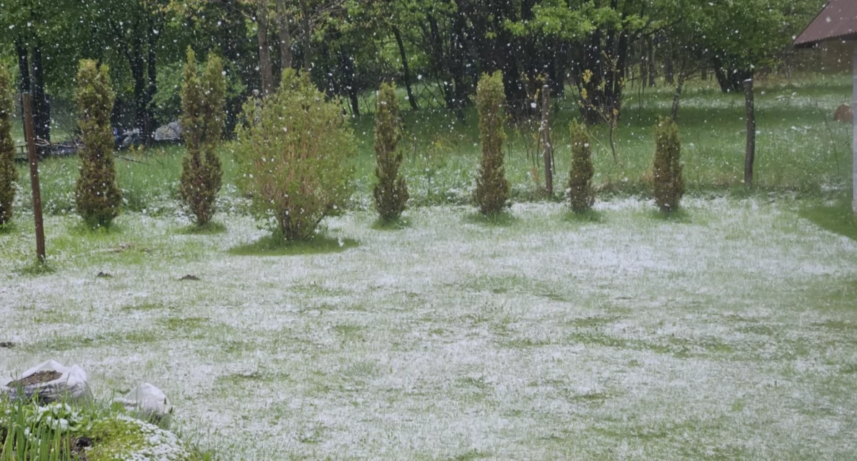 Pogodynka, Zimni ogrodnicy zimna Zośka przesąd meteorologiczna prawidłowość - zdjęcie, fotografia