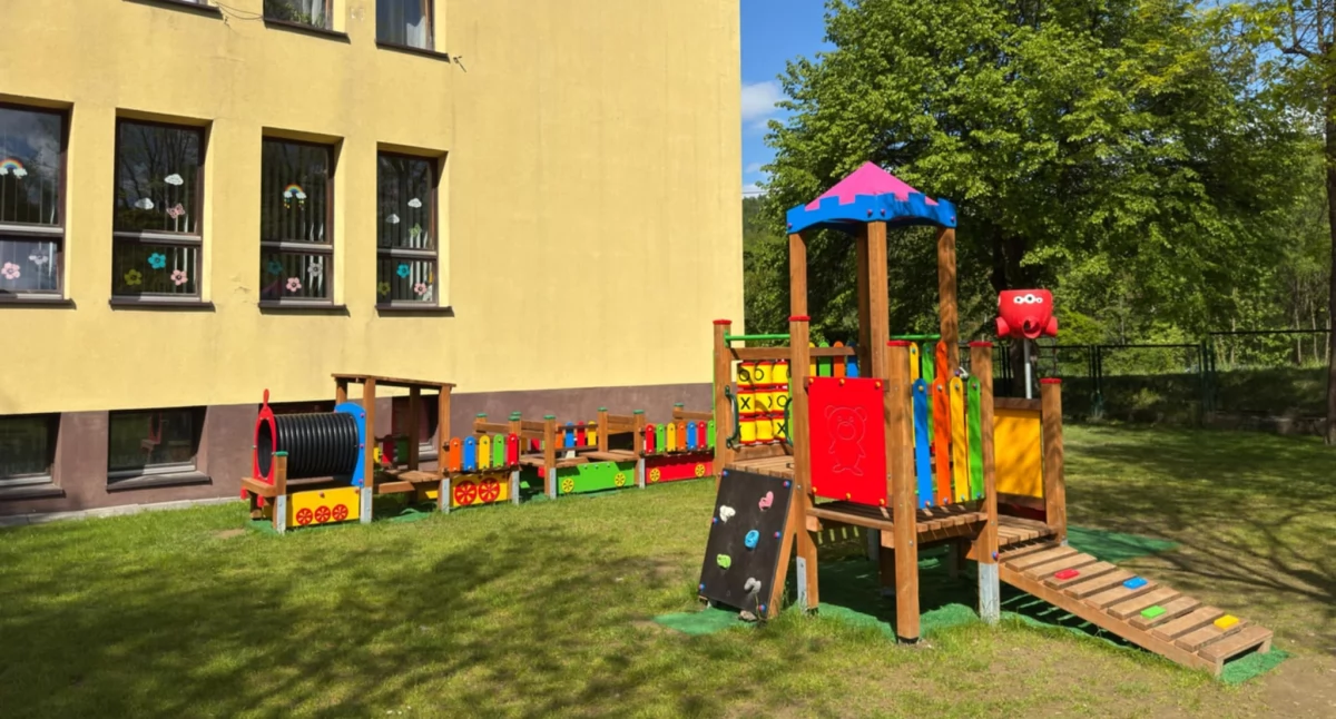 Nasze sprawy, Puszczyk placu zabaw Stryszawie Dzieci dorośli ratują młode sowy! - zdjęcie, fotografia