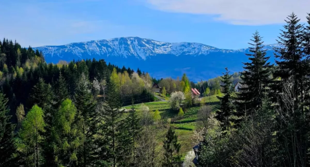 Kartka z kalendarza, Europejski Dzień Parków Narodowych - zdjęcie, fotografia
