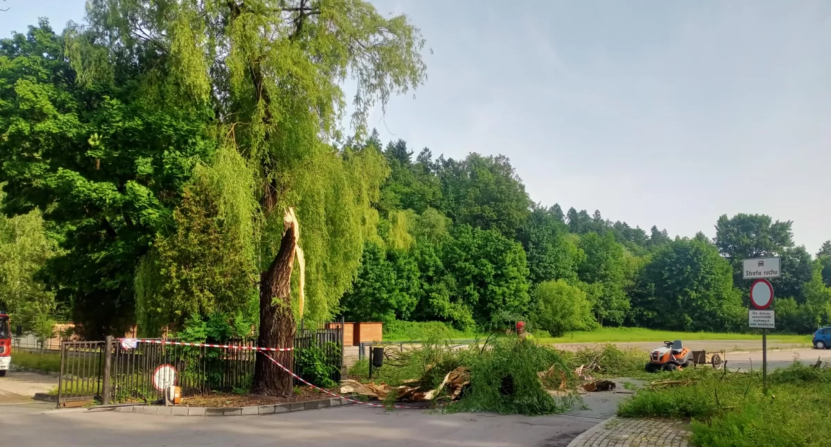 Miejscowe zagrożenie, Nawałnice powiatem suskim ponad interwencji straży pożarnej - zdjęcie, fotografia