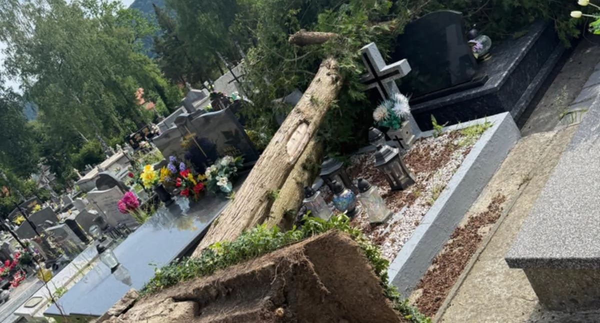 Nasze sprawy, Skutki załamania pogodowego suskim cmentarzu - zdjęcie, fotografia