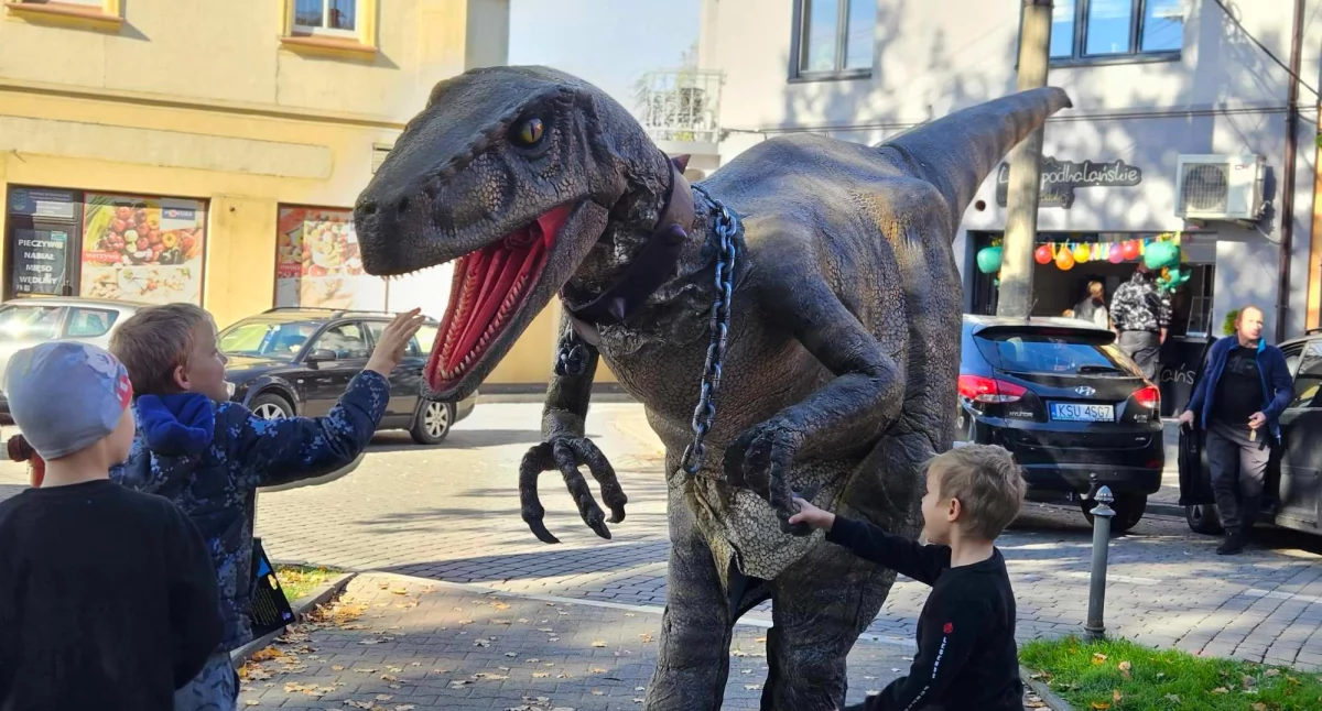 Rozrywka, Dinozaury wracają makowski rynek! - zdjęcie, fotografia